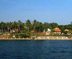 Honeymoon In Calicut