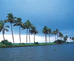 Calicut Honeymoon Tour